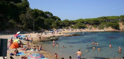 vall-dor