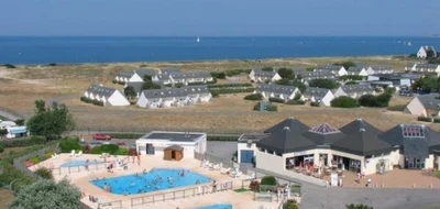 les-chardons-bleus-de-la-turballe