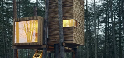 landal-forest-resort-your-nature