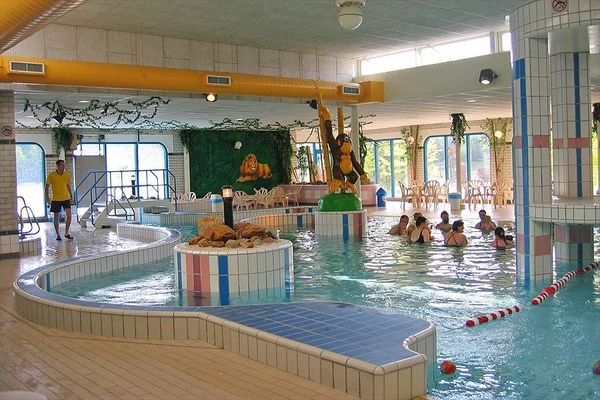 Indoor swimming pool with children playing near a monkey statue, surrounded by lounging adults and artificial greenery at Hunzedal