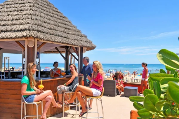 People relaxing at a beachside bar, some sitting and chatting, surrounded by others enjoying the sunny beachfront at Les Mediterranées Nouvelle Floride
