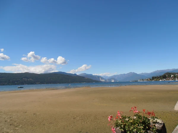 Flowering plant in foreground, calm lake with scattered boats, surrounded by mountainous landscape under a clear blue sky at Lido di Monvalle