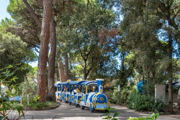 A small, colorful toy train transports people through a wooded area with tall trees and greenery at Etruria Camping Village