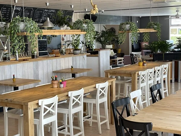 Wooden tables with chairs are arranged in a cozy café, adorned with hanging plants and a counter at Camping de Molenhoek