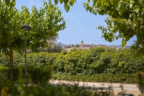A village skyline sits in the distance, framed by leafy trees and bushes at Els Ports