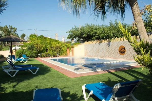 Swimming pool surrounded by loungers and sunshades on grass, with trees and a decorative wall in the background at Armanello