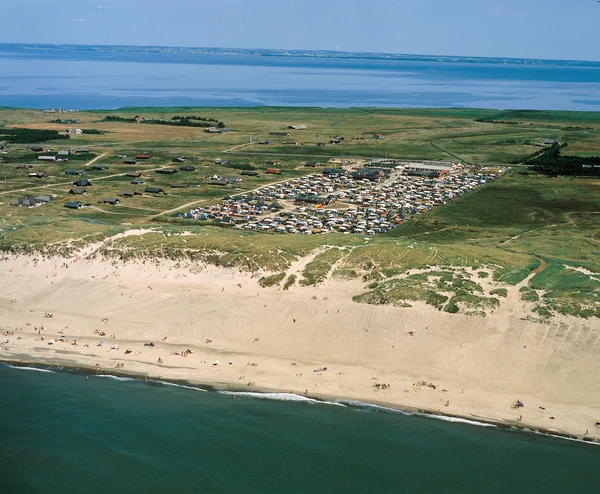 Aerial view of a crowded campsite near sandy dunes and a beach, with grassy plains and ocean beyond at Dancamps Nordsø