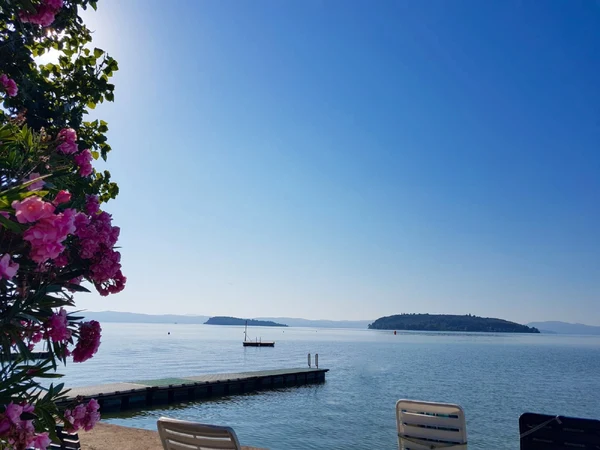 Pink flowers sway beside a tranquil lake with islands, under a clear blue sky at Punta Navaccia