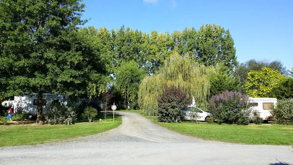 Camping area with caravans parked among tall trees and lush greenery at Seasonova Du Chêne