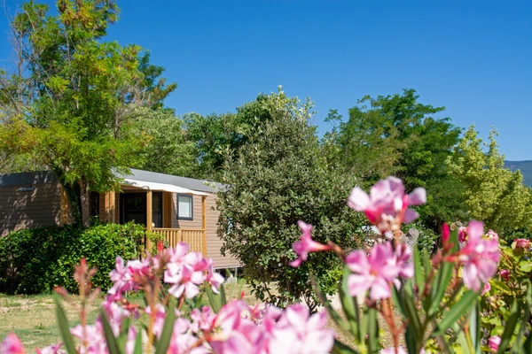Wooden cabin nestled among lush trees and blooming pink flowers under a clear blue sky at de la Bonde