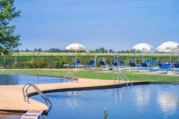 Swimming pool with ladder and wooden deck, surrounded by lounge chairs and umbrellas in a sunny, fenced grassy area at Agriturismo Tenuta Regina