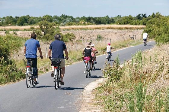 Cyclists riding on a paved path through a rural landscape with green fields and trees at Seasonova Ile de Ré