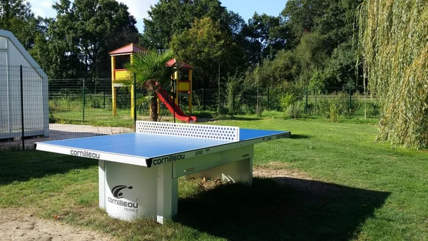 A table tennis table stands on grass near a playground with a slide and trees at Seasonova Du Chêne