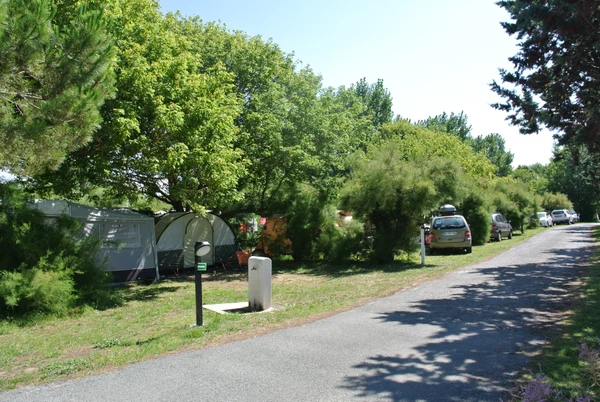 Tents and cars under trees along a campsite road surrounded by greenery at Seasonova Ile de Ré