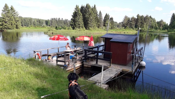 A woman sits at a lakeside picnic table under red umbrellas near a wooden cabin structure; a dog observes at Yttermalungs