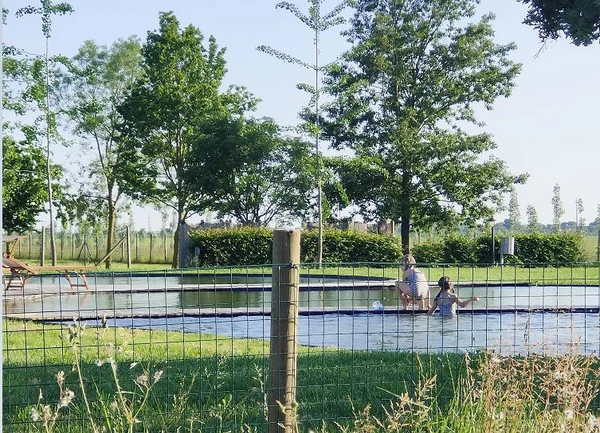 Two people playing in a shallow pool, surrounded by trees and greenery at Agriturismo Tenuta Regina