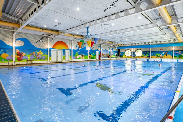 Indoor swimming pool with vibrant murals on walls, featuring colorful paintings of sea and land creatures at Hunzedal