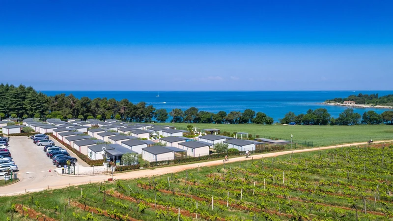 Rows of mobile homes near parked cars and vineyards, overlooking a scenic blue ocean under a clear sky at Kastanija