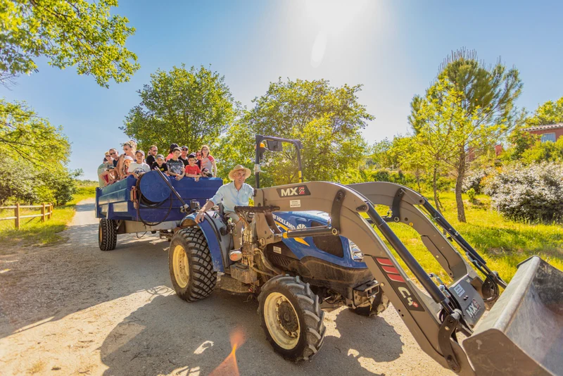 Tractor pulling a wagon filled with smiling passengers along a sunny, tree-lined road at du Domaine d'Anglas
