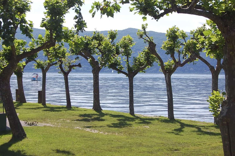 Trees standing by a lake, backed by mountains, with a boat on the water at Lido di Monvalle