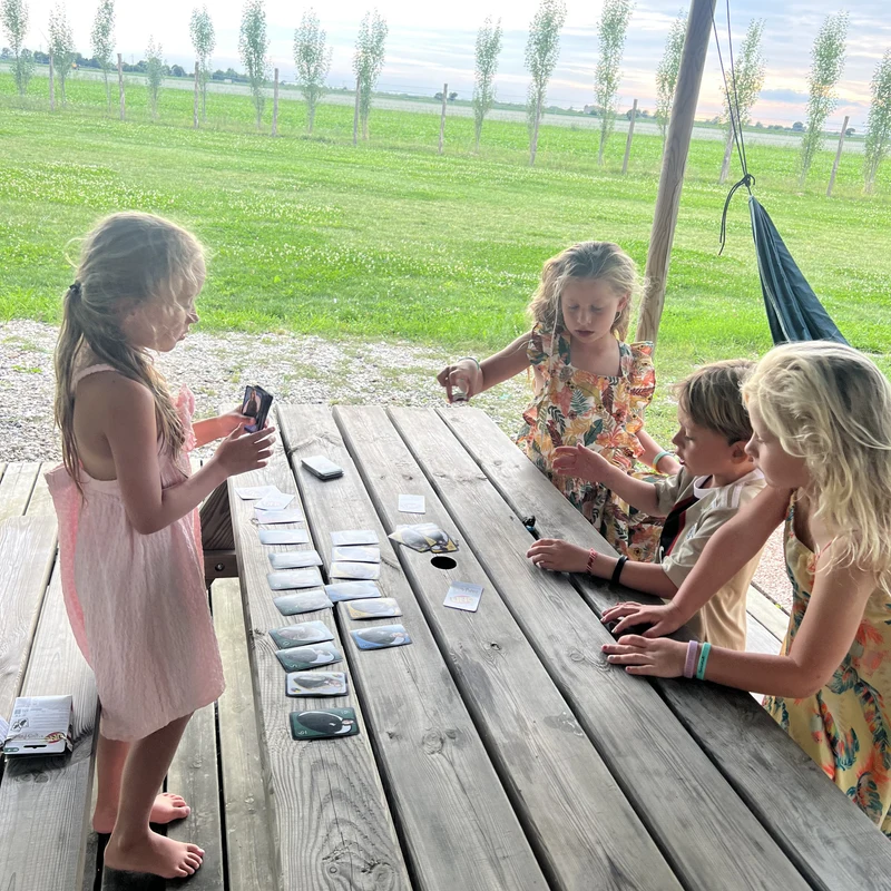 Children playing a card game on a wooden picnic table in a grassy field at Agriturismo Tenuta Regina