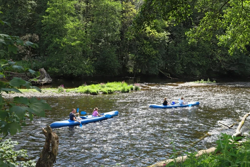 People paddle blue kayaks on a shimmering river surrounded by lush green trees and vegetation at Floreal la Roche